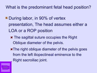 What is the predominant fetal head position?
During labor, in 90% of vertex
presentation, The head assumes either a
LOA or a ROP position
The sagittal suture occupies the Right
Oblique diameter of the pelvis.
The right oblique diameter of the pelvis goes
from the left iliopectineal eminence to the
Right sacroiliac joint.
 