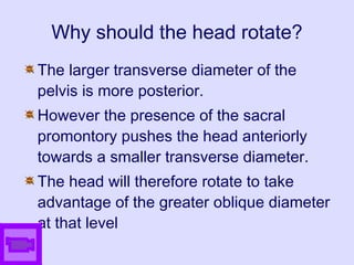 Why should the head rotate?
The larger transverse diameter of the
pelvis is more posterior.
However the presence of the sacral
promontory pushes the head anteriorly
towards a smaller transverse diameter.
The head will therefore rotate to take
advantage of the greater oblique diameter
at that level
 