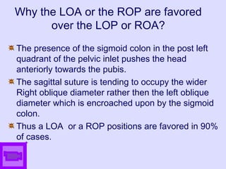 Why the LOA or the ROP are favored
over the LOP or ROA?
The presence of the sigmoid colon in the post left
quadrant of the pelvic inlet pushes the head
anteriorly towards the pubis.
The sagittal suture is tending to occupy the wider
Right oblique diameter rather then the left oblique
diameter which is encroached upon by the sigmoid
colon.
Thus a LOA or a ROP positions are favored in 90%
of cases.
 