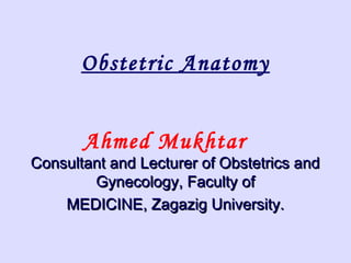 Obstetric Anatomy
Ahmed Mukhtar
Consultant and Lecturer of Obstetrics andConsultant and Lecturer of Obstetrics and
Gynecology, Faculty ofGynecology, Faculty of
MEDICINE, Zagazig University.MEDICINE, Zagazig University.
 