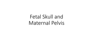 Fetal Skull and
Maternal Pelvis
 