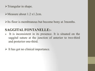 Triangular in shape.
Measure about 1.2 x1.2cm.
Its floor is membranous but become bony at 3months.
SAGGITALFONTANELLE:-
 It is inconsistent in its presence. It is situated on the
saggital suture at the junction of anterior to two-third
and posterior one-third.
 It has got no clinical importance.
 