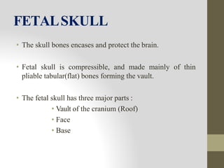 FETALSKULL
• The skull bones encases and protect the brain.
• Fetal skull is compressible, and made mainly of thin
pliable tabular(flat) bones forming the vault.
• The fetal skull has three major parts :
• Vault of the cranium (Roof)
• Face
• Base
 