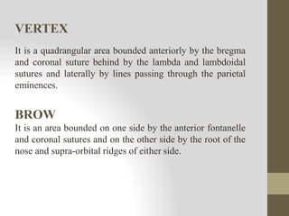 VERTEX
It is a quadrangular area bounded anteriorly by the bregma
and coronal suture behind by the lambda and lambdoidal
sutures and laterally by lines passing through the parietal
eminences.
BROW
It is an area bounded on one side by the anterior fontanelle
and coronal sutures and on the other side by the root of the
nose and supra-orbital ridges of either side.
 