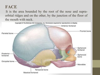 FACE
It is the area bounded by the root of the nose and supra-
orbital ridges and on the other, by the junction of the floor of
the mouth with neck.
 
