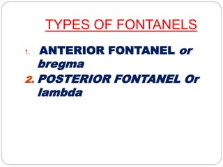 TYPES OF FONTANELS
1. ANTERIOR FONTANEL or
bregma
2. POSTERIOR FONTANEL Or
lambda
 