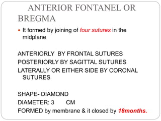 ANTERIOR FONTANEL OR
BREGMA
 It formed by joining of four sutures in the
midplane
ANTERIORLY BY FRONTAL SUTURES
POSTERIORLY BY SAGITTAL SUTURES
LATERALLY OR EITHER SIDE BY CORONAL
SUTURES
SHAPE- DIAMOND
DIAMETER: 3 CM
FORMED by membrane & it closed by 18months.
 