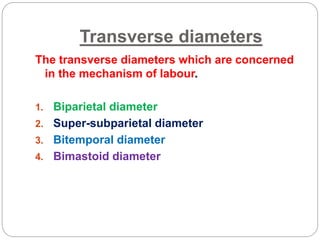 Transverse diameters
The transverse diameters which are concerned
in the mechanism of labour.
1. Biparietal diameter
2. Super-subparietal diameter
3. Bitemporal diameter
4. Bimastoid diameter
 