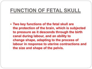 FUNCTION OF FETAL SKULL
 Two key functions of the fetal skull are
the protection of the brain, which is subjected
to pressure as it descends through the birth
canal during labour, and an ability to
change shape, adapting to the process of
labour in response to uterine contractions and
the size and shape of the pelvis.
 