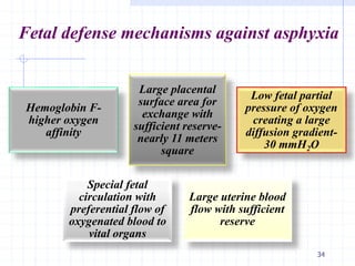 Fetal defense mechanisms against asphyxia
34
Hemoglobin F-
higher oxygen
affinity
Large placental
surface area for
exchange with
sufficient reserve-
nearly 11 meters
square
Low fetal partial
pressure of oxygen
creating a large
diffusion gradient-
30 mmH2O
Special fetal
circulation with
preferential flow of
oxygenated blood to
vital organs
Large uterine blood
flow with sufficient
reserve
 