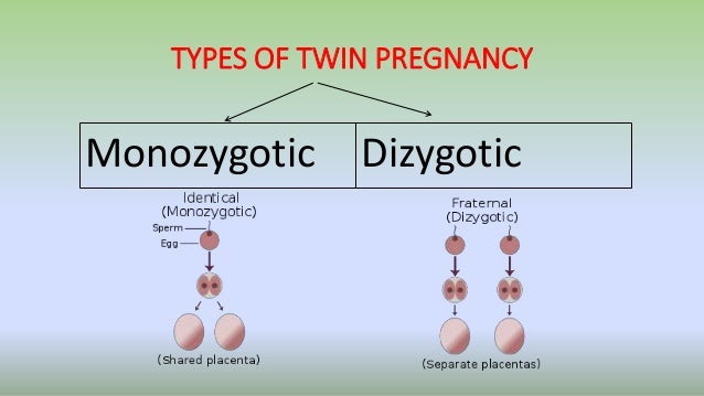 Three Types of Twins Fetal surveillance in twin pregnancy Three Types of Twins Fetal surveillance in twin pregnancy