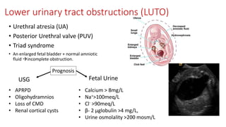 Lower urinary tract obstructions (LUTO)
• Urethral atresia (UA)
• Posterior Urethral valve (PUV)
• Triad syndrome
• An enlarged fetal bladder + normal amniotic
fluid incomplete obstruction.
USG
• APRPD
• Oligohydramnios
• Loss of CMD
• Renal cortical cysts
Fetal Urine
• Calcium > 8mg/L
• Na+>100meq/L
• Cl- >90meq/L
• β- 2 μglobulin >4 mg/L,
• Urine osmolality >200 mosm/L
Prognosis
 