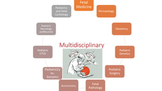Multidisciplinary
Fetal
Medicine
Perinatology
Obstetrics
Pediatric
Genetics
Pediatric
Surgery
Fetal
Pathology
Biochemistry
PediatricCy
to-
Genetics
Pediatric
CTVS
Pediatric
Neurology
andNeuroSx
Pediatrics
and Fetal
Cardiology
 