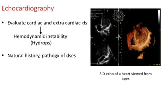 Echocardiography
3 D echo of a heart viewed from
apex
 Evaluate cardiac and extra cardiac ds
Hemodynamic instability
(Hydrops)
 Natural history, pathogx of dses
 