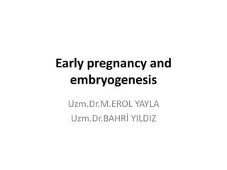 Earlypregnancyandembryogenesis Uzm.Dr.M.EROL YAYLA Uzm.Dr.BAHRİ YILDIZ 