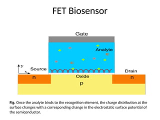FET and MOSFET.pptx by taimoor khan awkum | PPTX