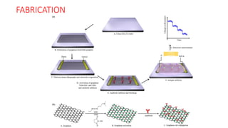 FET BASED BIOSENSOR FOR NANOSCIENCE AND N | PPT