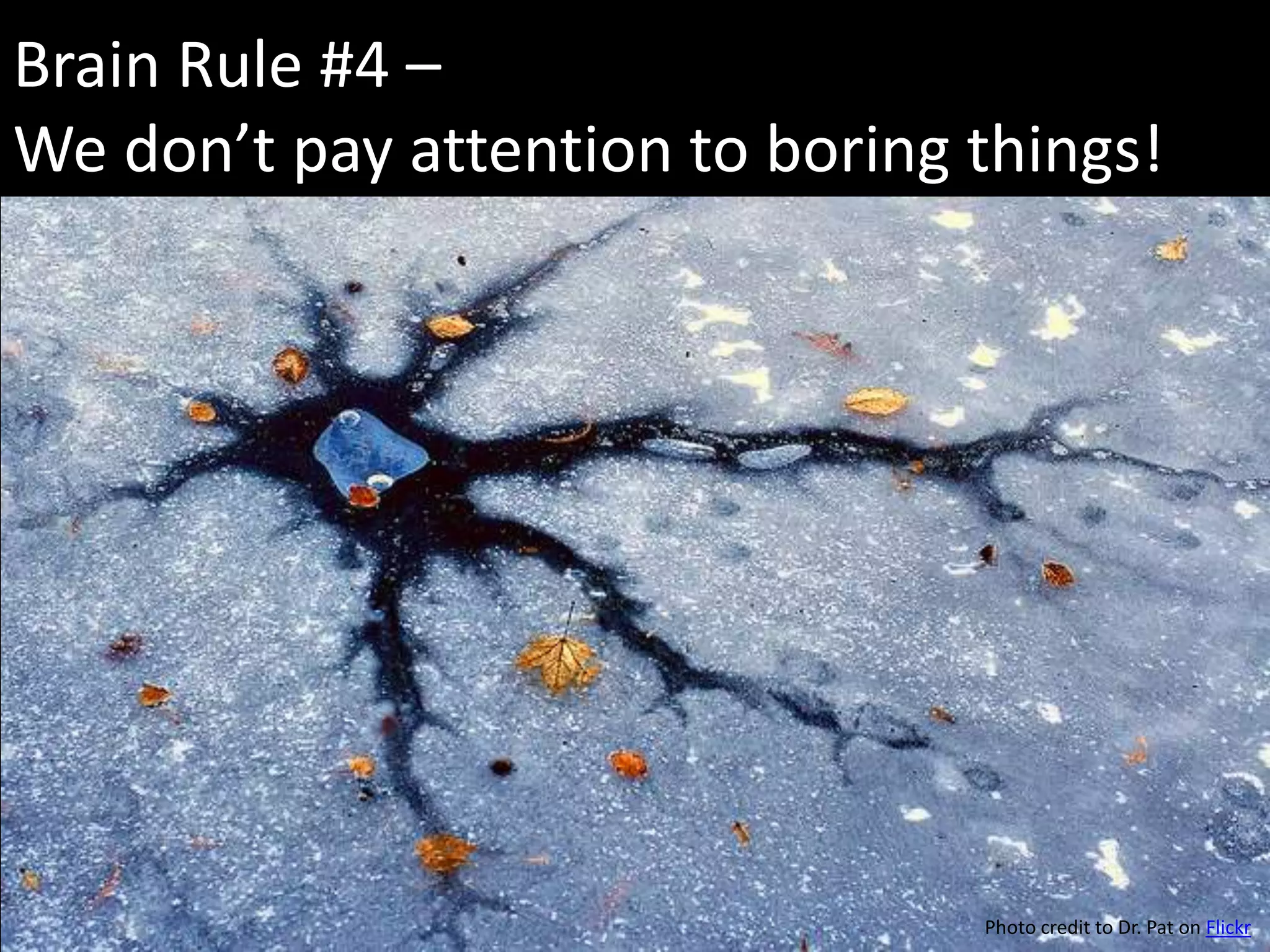 Brain Rule #4 –
We don’t pay attention to boring things!




                                 Photo credit to Dr. Pat on Flickr
 