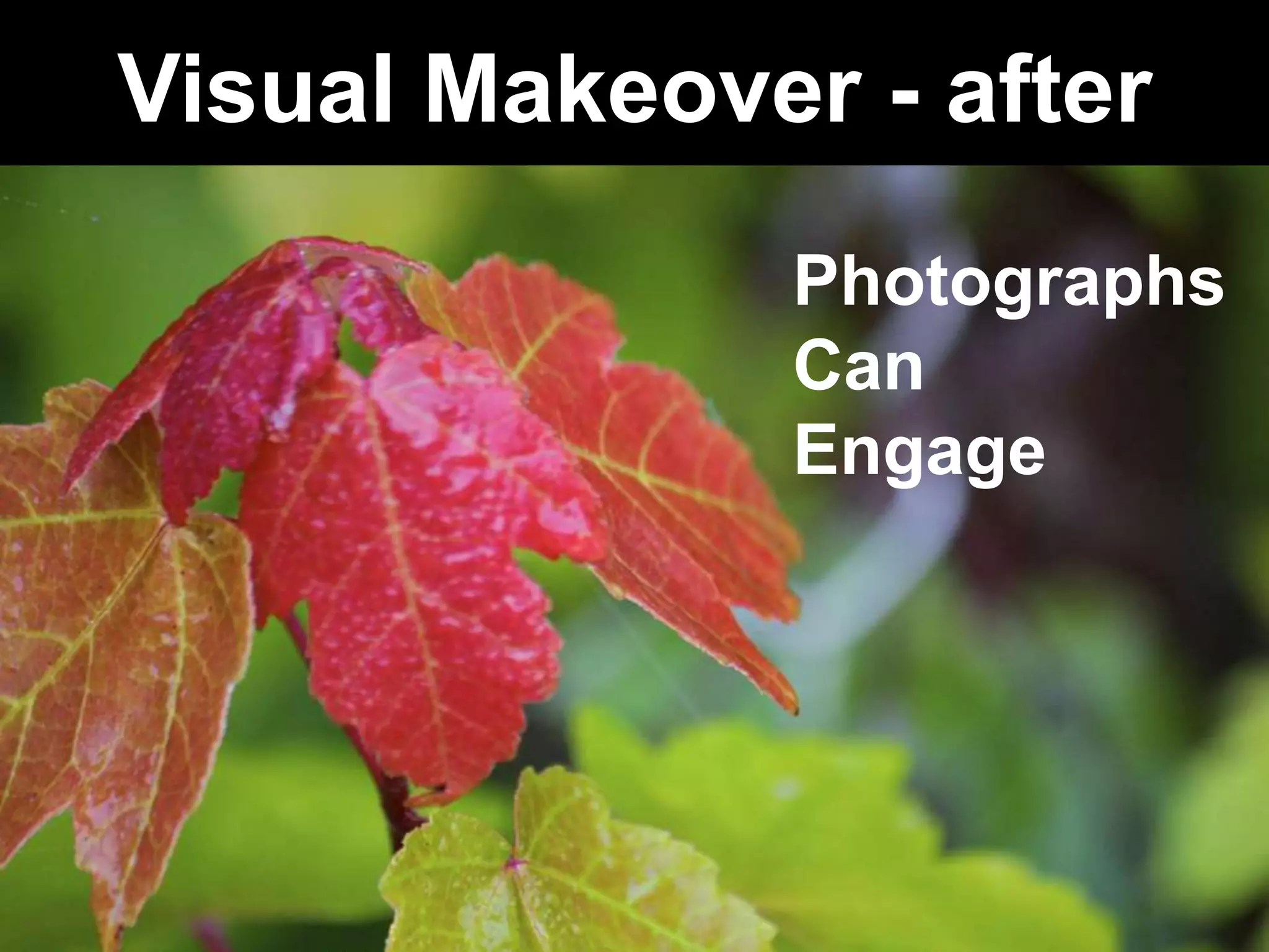 Visual Makeover - after
               Photographs
               Can
               Engage
 