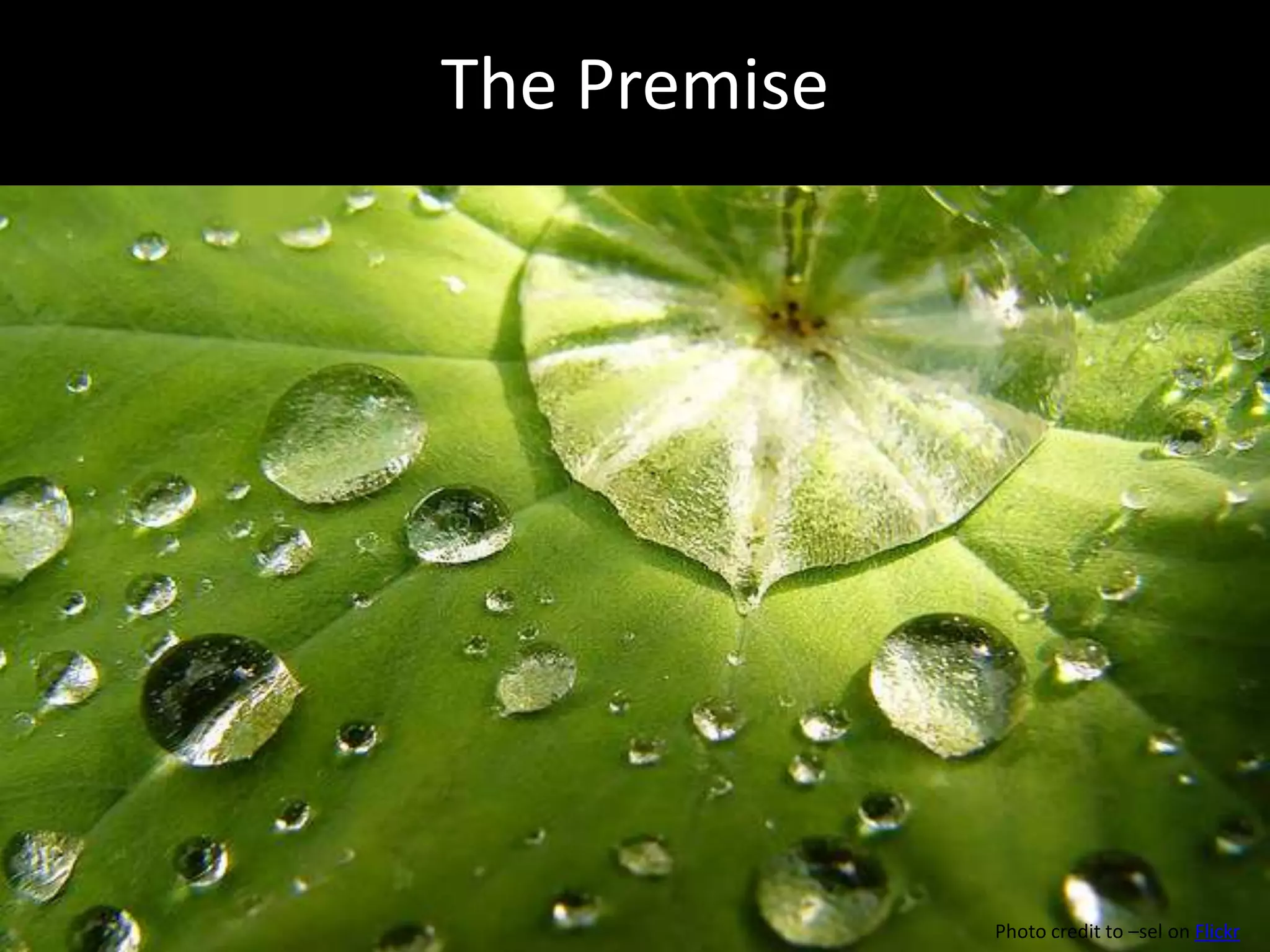 The Premise




              Photo credit to –sel on Flickr
 