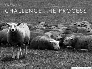 C H A L L E N G E T H E P R O C E S S
P R A C T I C E 3
Photo by Nick Fewings on Unsplash
 