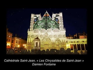 Cathédrale Saint-Jean, « Les Chrysalides de Saint-Jean »
Damien Fontaine
 