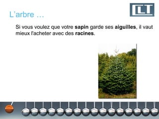 L’arbre …
 Si vous voulez que votre sapin garde ses aiguilles, il vaut
 mieux l'acheter avec des racines.
 