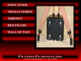 Fetish Furniture  Portfolio