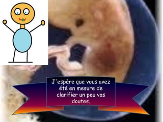 J'espère que vous avez
   été en mesure de
  clarifier un peu vos
         doutes.
 