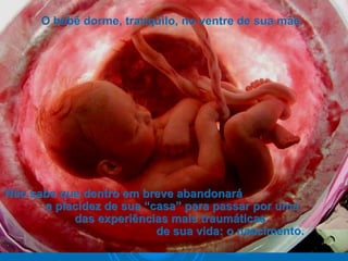 O bebê dorme, tranqüilo, no ventre de sua mãe.O bebê dorme, tranqüilo, no ventre de sua mãe.
Não sabe que dentro em breve abandonaráNão sabe que dentro em breve abandonará
a placidez de sua “casa” para passar por umaa placidez de sua “casa” para passar por uma
das experiências mais traumáticasdas experiências mais traumáticas
de sua vida: o nascimento.de sua vida: o nascimento.
 