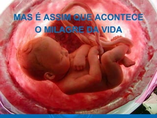 MAS É ASSIM QUE ACONTECEMAS É ASSIM QUE ACONTECE
O MILAGRE DA VIDAO MILAGRE DA VIDA
 