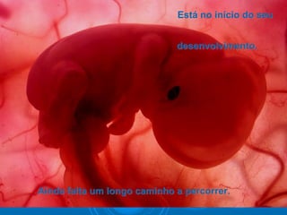 Está no início do seuEstá no início do seu
desenvolvimento.desenvolvimento.
Ainda falta um longo caminho a percorrer.Ainda falta um longo caminho a percorrer.
 