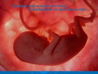 Enquanto tudo acontece, ele flutua,Enquanto tudo acontece, ele flutua,
tranqüilamente, no útero de sua mãe.tranqüilamente, no útero de sua mãe.
 