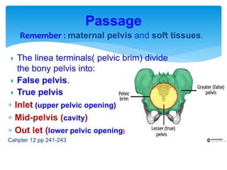 Fetopelvic relationship | PPTX