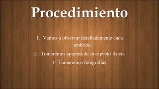 Procedimiento
1. Vamos a observar detalladamente cada
embrión.
2. Tomaremos apuntes de su aspecto físico.
3. Tomaremos fotografías.
 