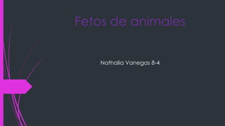 Fetos de animales
Nathalia Vanegas 8-4
 