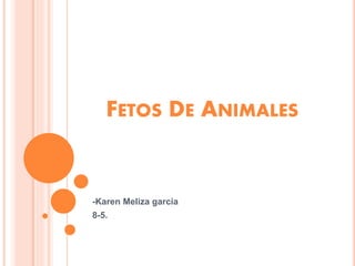 FETOS DE ANIMALES
-Karen Meliza garcia
8-5.
 