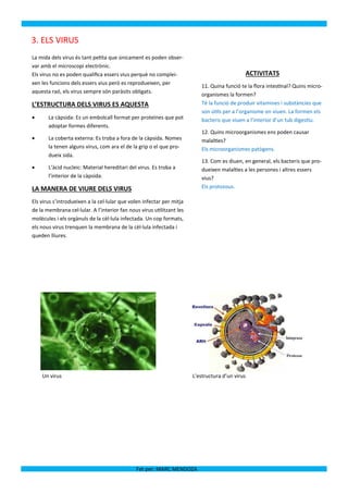 3. ELS VIRUS
La mida dels virus és tant petita que únicament es poden obser-
var amb el microscopi electrònic.
Els virus no es poden qualifica essers vius perquè no complei-                               ACTIVITATS
xen les funcions dels essers vius però es reprodueixen, per
                                                                          11. Quina funció te la flora intestinal? Quins micro-
aquesta raó, els virus sempre són paràsits obligats.
                                                                          organismes la formen?
L’ESTRUCTURA DELS VIRUS ES AQUESTA                                        Té la funció de produir vitamines i substàncies que
                                                                          son útils per a l’organisme on viuen. La formen els
      La càpsida: Es un embolcall format per proteïnes que pot           bacteris que viuen a l’interior d’un tub digestiu.
       adoptar formes diferents.
                                                                          12. Quins microorganismes ens poden causar
      La coberta externa: Es troba a fora de la càpsida. Nomes           malalties?
       la tenen alguns virus, com ara el de la grip o el que pro-         Els microorganismes patògens.
       dueix sida.
                                                                          13. Com es diuen, en general, els bacteris que pro-
      L’àcid nucleic: Material hereditari del virus. Es troba a          dueixen malalties a les persones i altres essers
       l’interior de la càpsida.                                          vius?
LA MANERA DE VIURE DELS VIRUS                                             Els protozous.

Els virus s’introdueixen a la cel·lular que volen infectar per mitja
de la membrana cel·lular. A l’interior fan nous virus utilitzant les
molècules i els orgànuls de la cèl·lula infectada. Un cop formats,
els nous virus trenquen la membrana de la cèl·lula infectada i
queden lliures.




    Un virus                                                           L'estructura d’un virus




                                              Fet per: MARC MENDOZA
 
