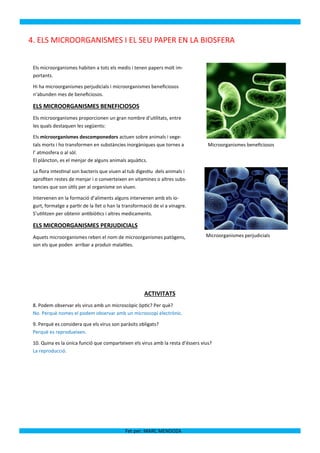 4. ELS MICROORGANISMES I EL SEU PAPER EN LA BIOSFERA


 Els microorganismes habiten a tots els medis i tenen papers molt im-
 portants.

 Hi ha microorganismes perjudicials i microorganismes beneficiosos
 n’abunden mes de beneficiosos.

 ELS MICROORGANISMES BENEFICIOSOS
 Els microorganismes proporcionen un gran nombre d’utilitats, entre
 les quals destaquen les següents:

 Els microorganismes descomponedors actuen sobre animals i vege-
 tals morts i ho transformen en substàncies inorgàniques que tornes a             Microorganismes beneficiosos
 l’ atmosfera o al sòl.
 El plàncton, es el menjar de alguns animals aquàtics.

 La flora intestinal son bacteris que viuen al tub digestiu dels animals i
 aprofiten restes de menjar i o converteixen en vitamines o altres subs-
 tancies que son útils per al organisme on viuen.

 Intervenen en la formació d’aliments alguns intervenen amb els io-
 gurt, formatge a partir de la llet o han la transformació de vi a vinagre.
 S’utilitzen per obtenir antibiòtics i altres medicaments.

 ELS MICROORGANISMES PERJUDICIALS
 Aquets microorganismes reben el nom de microorganismes patògens,                Microorganismes perjudicials
 son els que poden arribar a produir malalties.




                                                      ACTIVITATS
 8. Podem observar els virus amb un microscòpic òptic? Per què?
 No. Perquè nomes el podem observar amb un microscopi electrònic.

 9. Perquè es considera que els virus son paràsits obligats?
 Perquè es reprodueixen.

 10. Quina es la única funció que comparteixen els virus amb la resta d’éssers vius?
 La reproducció.




                                             Fet per: MARC MENDOZA
 