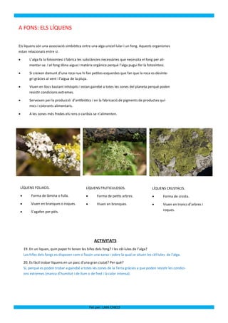A FONS: ELS LÍQUENS

Els líquens són una associació simbiòtica entre una alga unicel·lular i un fong. Aquests organismes
estan relacionats entre si.

        L’alga fa la fotosíntesi i fabrica les substàncies necessàries que necessita el fong per ali-
         mentar-se. I el fong dóna aigua i matèria orgànica perquè l’alga pugui fer la fotosíntesi.

        Si creixen damunt d’una roca nua hi fan petites esquerdes que fan que la roca es desinte-
         gri gràcies al vent i l’aigua de la pluja.

        Viuen en llocs bastant inhòspits i estan gairebé a totes les zones del planeta perquè poden
         resistir condicions extremes.

        Serveixen per la producció d’antibiòtics i en la fabricació de pigments de productes quí-
         mics i colorants alimentaris.

        A les zones més fredes els rens o caribús se n’alimenten.




 LÍQUENS FOLIACIS.                              LÍQUENS FRUTICULOSOS.                        LÍQUENS CRUSTACIS.
         Forma de làmina o fulla.                     Forma de petits arbres.                     Forma de crosta.
         Viuen en branques o roques.                  Viuen en branques.                          Viuen en troncs d’arbres i
         S’agafen per pèls.                                                                         roques.




                                                       ACTIVITATS
     19. En un liquen, quin paper hi tenen les hifes dels fong? I les cèl·lules de l’alga?
     Les hifes dels fongs es disposen com si fossin una xarxa i sobre la qual se situen les cèl·lules de l’alga.

     20. Es fàcil trobar líquens en un parc d’una gran ciutat? Per què?
     Sí, perquè es poden trobar a gairebé a totes les zones de la Terra gràcies a que poden resistir les condici-
     ons extremes (manca d’humitat i de llum o de fred i la calor intensa).




                                                    Fet per: LAIA CHICO
 