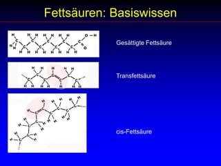 Fettsäuren: BasiswissenGesättigte FettsäureTransfettsäurecis-Fettsäure