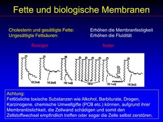 Fette und biologische MembranenCholesterin und gesättigte Fette:	Erhöhen die MembranfestigkeitUngesättigte Fettsäuren:		Erhöhen die FluiditätflüssigerfesterAchtung: Fettlösliche toxische Substanzen wie Alkohol, Barbiturate, Drogen, Karzinogene, chemische Umweltgifte (PCB etc.) können, aufgrund ihrer Membranlöslichkeit, die Zellwand schädigen und somit den Zellstoffwechsel empfindlich treffen oder sogar die Zelle selbst zerstören.