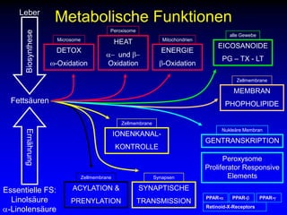 BiosyntheseErnährungPPAR-aPPAR-bPPAR-gRetinoid-X-ReceptorsMetabolische FunktionenLeberPeroxisomealle GewebeMicrosomeMitochondrienHEATa-  und b- OxidationEICOSANOIDEPG – TX - LTDETOXw-OxidationENERGIEb-OxidationZellmembraneMEMBRANPHOPHOLIPIDEFettsäurenZellmembraneNukleäre MembranIONENKANAL-KONTROLLEGENTRANSKRIPTIONPeroxysome Proliferator Responsive ElementsZellmembraneSynapsenACYLATION & PRENYLATIONSYNAPTISCHETRANSMISSIONEssentielle FS:Linolsäurea-Linolensäure