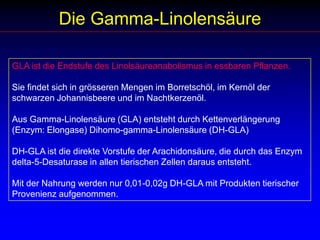 Die Gamma-LinolensäureGLA ist die Endstufe des Linolsäureanabolismus in essbaren Pflanzen. Sie findet sich in grösseren Mengen im Borretschöl, im Kernöl der schwarzen Johannisbeere und im Nachtkerzenöl.Aus Gamma-Linolensäure (GLA) entsteht durch Kettenverlängerung (Enzym: Elongase) Dihomo-gamma-Linolensäure (DH-GLA) DH-GLA ist die direkte Vorstufe der Arachidonsäure, die durch das Enzym delta-5-Desaturase in allen tierischen Zellen daraus entsteht.Mit der Nahrung werden nur 0,01-0,02g DH-GLA mit Produkten tierischer Provenienz aufgenommen. 