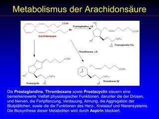 Metabolismus der ArachidonsäureDie Prostaglandine, Thromboxane sowie Prostacyclin steuern eine bemerkenswerte Vielfalt physiologischer Funktionen, darunter die der Drüsen, und Nerven, die Fortpflanzung, Verdauung, Atmung, die Aggregation der Blutplättchen, sowie die die Funktionen des Herz-, Kreislauf und Nierensystems. Die Biosynthese dieser Metaboliten wird durch Aspirin blockiert. 
