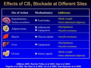 Effects of CB1 Blockade at Different SitesDiMarzo 2001; Ravinet Trillou et al 2003; Cota et al 2003;Pagotto et al 2005; Van Gaal et al 2005; Liu et al 2005; Osei-Hyiaman et al 2005.