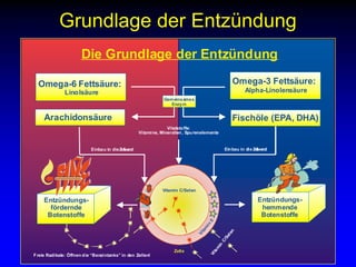 Grundlage der Entzündung