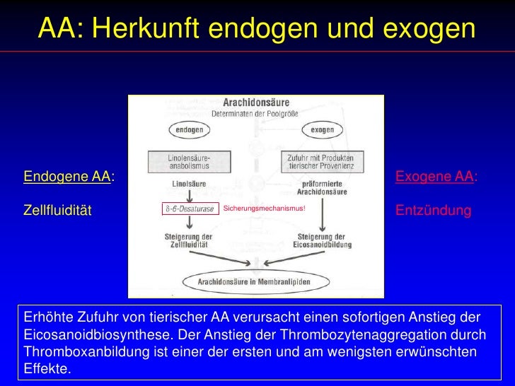 Fettsäuren Und Gesundheit