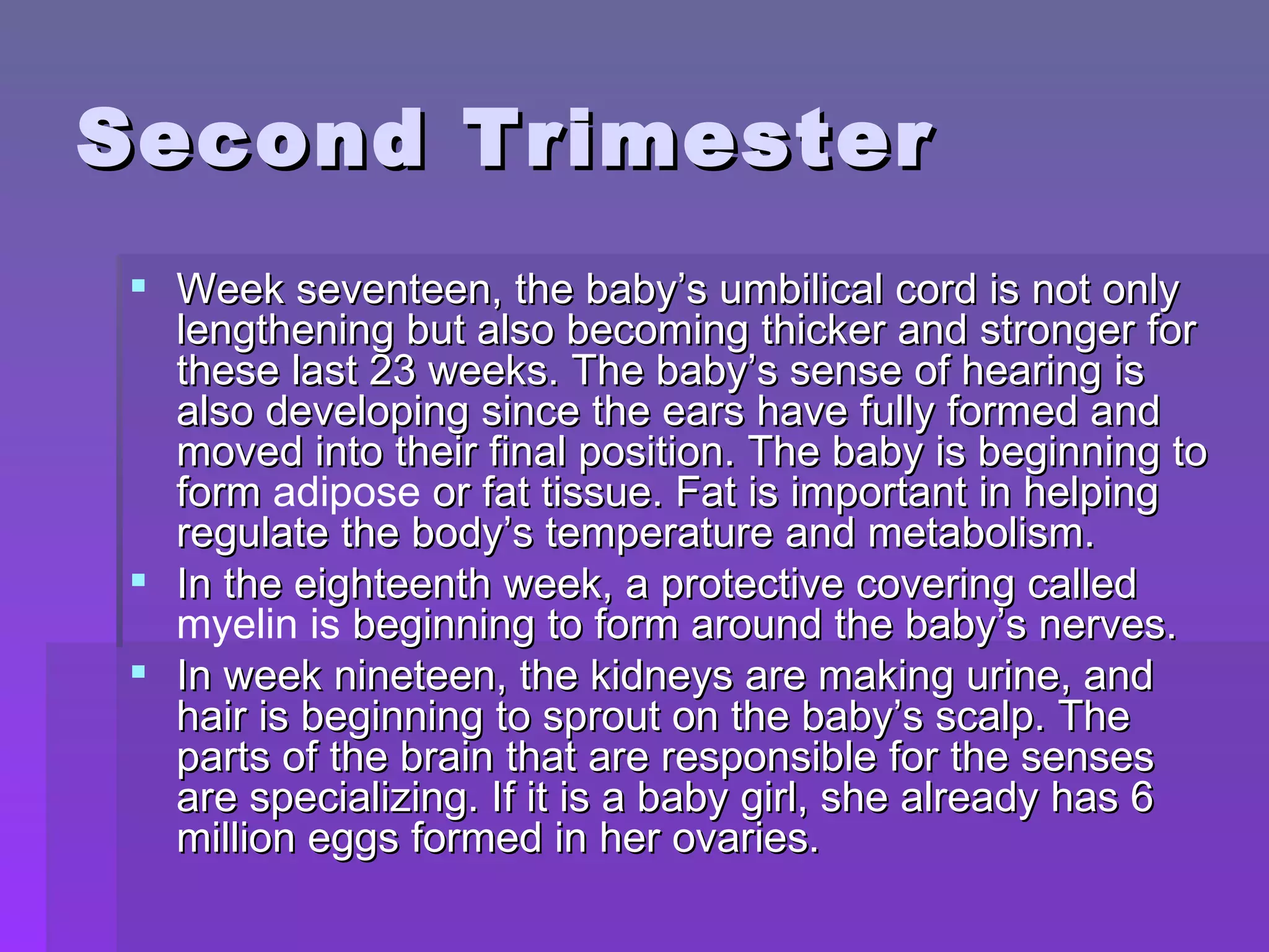 Second Trimester Week seventeen, the baby’s umbilical cord is not only lengthening but also becoming thicker and stronger for these last 23 weeks. The baby’s sense of hearing is also developing since the ears have fully formed and moved into their final position. The baby is beginning to form  adipose  or fat tissue. Fat is important in helping regulate the body’s temperature and metabolism. In the eighteenth week, a protective covering called  myelin is  beginning to form around the baby’s nerves. In week nineteen, the kidneys are making urine, and hair is beginning to sprout on the baby’s scalp. The parts of the brain that are responsible for the senses are specializing. If it is a baby girl, she already has 6 million eggs formed in her ovaries.  