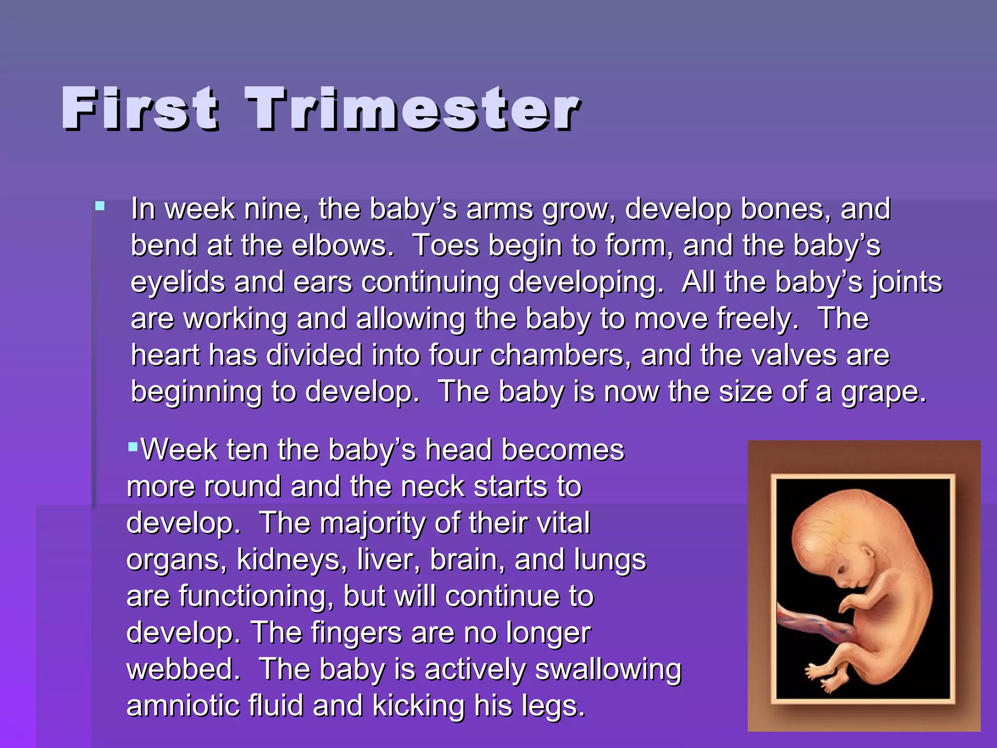First Trimester In week nine, the baby’s arms grow, develop bones, and bend at the elbows.  Toes begin to form, and the baby’s eyelids and ears continuing developing.  All the baby’s joints are working and allowing the baby to move freely.  The heart has divided into four chambers, and the valves are beginning to develop.  The baby is now the size of a grape. Week ten the baby’s head becomes more round and the neck starts to develop.  The majority of their vital organs, kidneys, liver, brain, and lungs are functioning, but will continue to develop. The fingers are no longer webbed.  The baby is actively swallowing amniotic fluid and kicking his legs. 